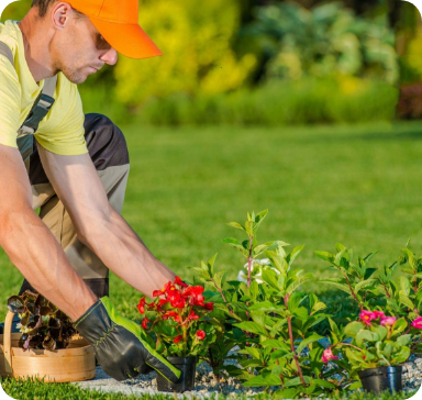 Landscapers
